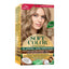 SOFT COLOR KIT 881 SAHARA PEARL BLONDE