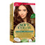 SOFT COLOR KIT 50 LIGHT BROWN