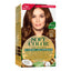 SOFT COLOR KIT 535 BROWN ARABICA
