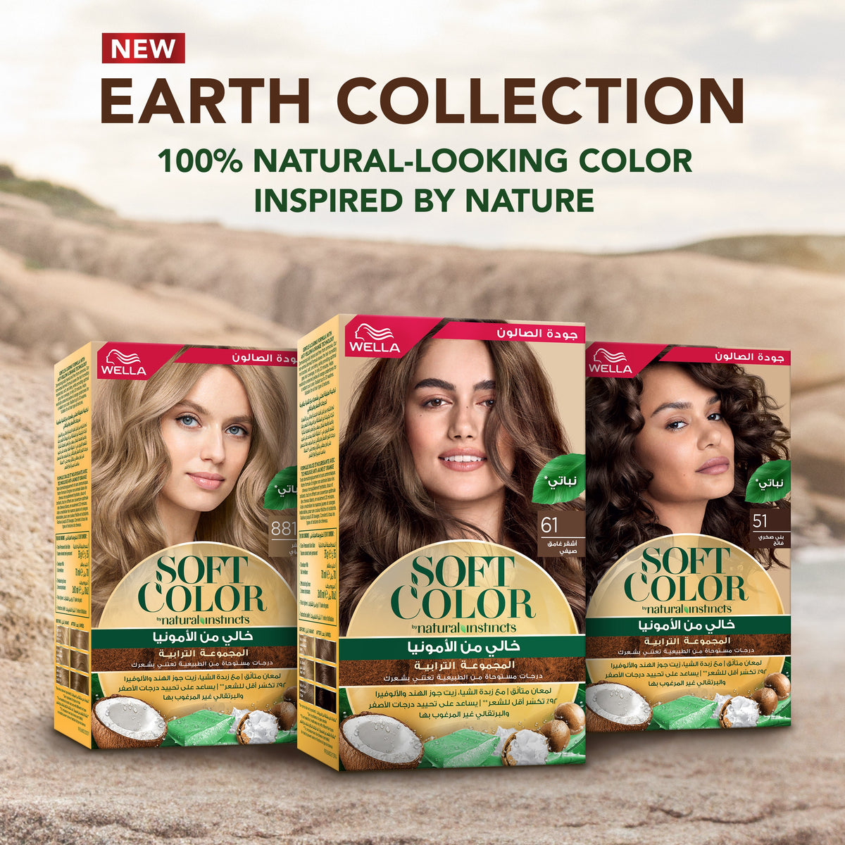 WELLA SOFT COLOR NATURAL INSTINCTS KIT 6/1 BEACHWOOD DARK BLONDE