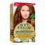 SOFT COLOR KIT 67 CHOCOLATE