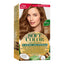 SOFT COLOR KIT 77 GOLDEN BROWN